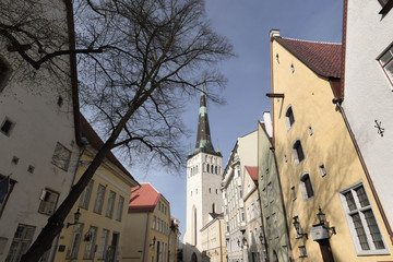 Kościół św. Olafa w Tallinnie, zabytkowa architektura na tallińskim starym mieście
