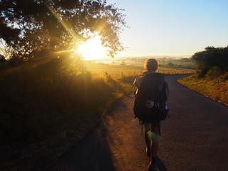 Pilgrim and bright morning sun and beautiful agricultural landscape, Camino de Santiago, Way of St. James, Journey from Olveiroa to Negreira, Fisterra-Muxia way, Spain