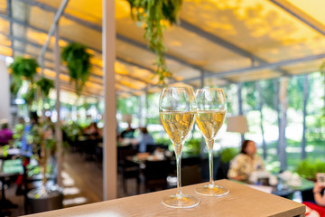 Two glasses of white wine on summer terrace bokeh leaf sunlight
