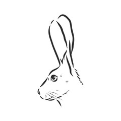 Hand-drawn portrait of rabbit. Vector illustration. portrait of a hare, head of a hare vector sketch illustration