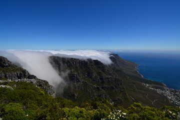Tafelberg - Lions Head - Kapstadt