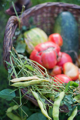 Basket with fresh vegetables