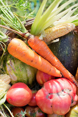 Basket with fresh vegetables