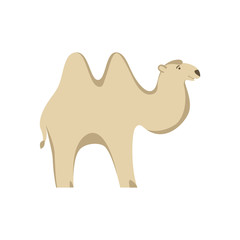 camel flat style