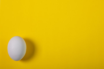 white chicken egg on a yellow background