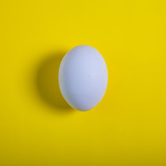 white chicken egg on a yellow background