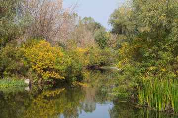 Fototapeta na wymiar autumn at the small river