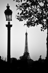 tour Eiffel encadrée