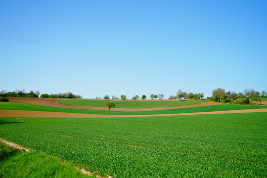 H&uuml;gelige Kulturlandschaft mit Felder und Acker sowie einzelnen B&auml;umen im Fr&uuml;hling, Paderborner Land 