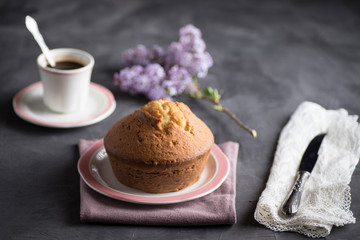 Homemade sponge cake with cream, flour, sugar, eggs and yeast. Delicious home made food.