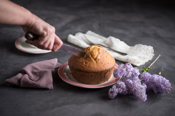 Homemade sponge cake with cream, flour, sugar, eggs and yeast. Delicious home made food.