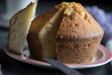 Homemade sponge cake with cream, flour, sugar, eggs and yeast. Delicious home made food.