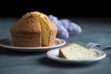 Homemade sponge cake with cream, flour, sugar, eggs and yeast. Delicious home made food.