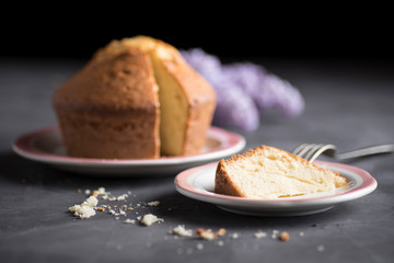 Homemade sponge cake with cream, flour, sugar, eggs and yeast. Delicious home made food.