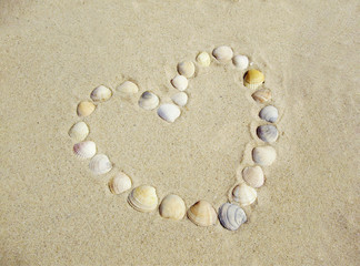 Fototapeta na wymiar A heart made of seashells on the sandy beach