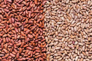 assortment of red and cranberry beans