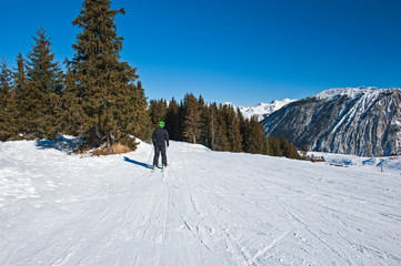 Skier on piste through trees in alpine resort