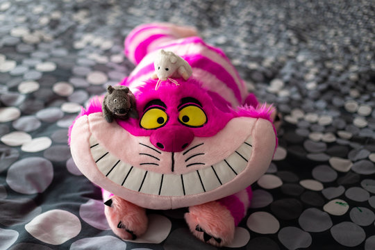Valladolid, Spain, April 18, 2020: Cheshire Cat Plush Figure. It is a fictional cat from English popular culture, known mainly through the well-known work of Lewis Carroll Alice in Wonderland.
