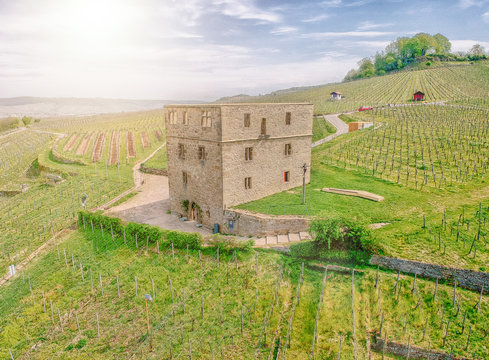 Y Burg Stetten Yburg (Remstal) Eibenburg drohnenbild Ruine Hangburg Weinberge Wohnburg Wasserburg Hans von Yberg
