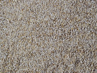 texture of carpet