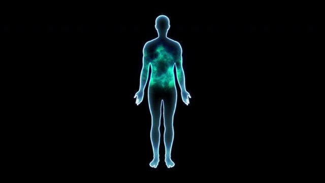 human body motion loop