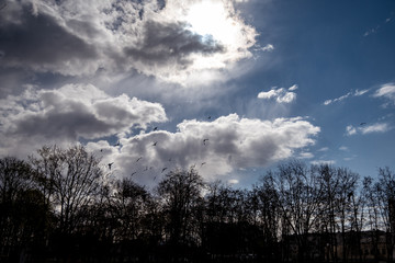 sky