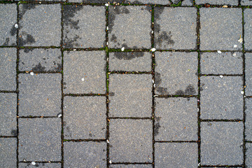 old wet stone pavement
