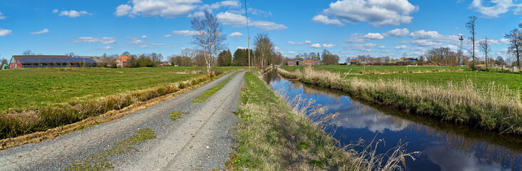 Fototapeta premium panorama view of typical marsh landscape in the district Wesermarsch (Germany) with green meadows, an unfixed rural lane, a canal and farm houses under vivid blue sky with white clouds in sunny spring
