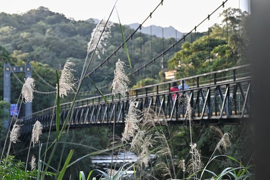 Couple Walking Side By Side On A Suspension Bridge.