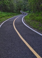 Bicycle trail in the forest.
