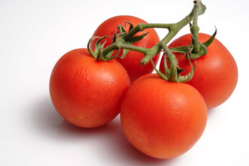 A fresh Cocktail Truss Tomatoes on white isolated background