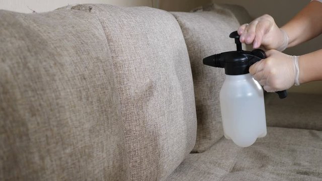 Cleaning sofa fabric with liquid cleaner and wipe. Disinfecting furniture at home, apartment or office. Housewife cleaning house for good family healthcare. 4 k video