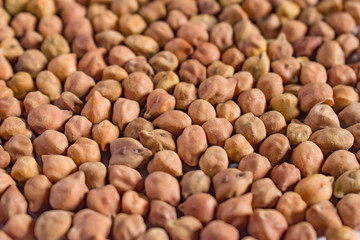 Chickpea with pods. Selective focus.