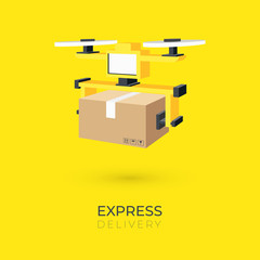 Drone express delivery with package.  Robot flying delivery concept. vector illustration