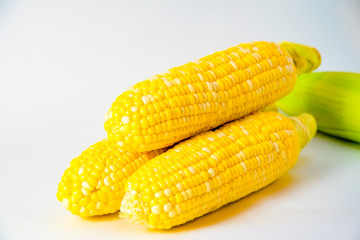 シンプルなとうもろこしのイメージ
