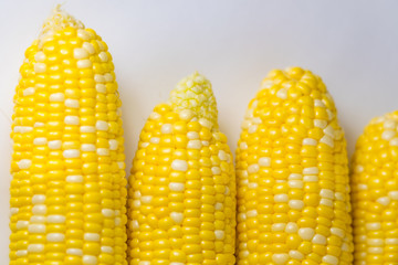 シンプルなとうもろこしのイメージ
