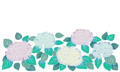 紫陽花・ホンアジサイのイラスト（グラデーション）