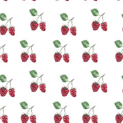 Watercolor illustration pattern of raspberry berries on a twig on a white background