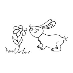 Rabbit sniffs a flower drawn black line. Image for your decor and design. Vector illustration decoration. Staining. A hare is a wild animal. Isolated object on a white background.