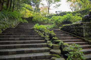 Beautiful scene of stone stairs with fresh green trees in Nikko's World Heritage Sites for background and copy space, Tochigi