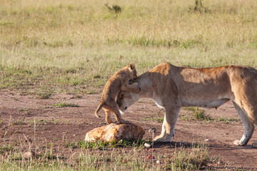 Playing with mum