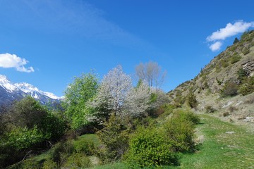 Wanderweg Vinschgau
