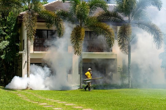 A gardener doing a poisoning activity by spraying insecticide or pesticides to control the insects in a hotel. fighting viruses and coronavirus, disinfection
