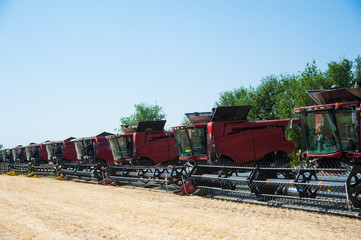 Combine harvesters ready for harvest