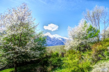 Fototapeta premium Bergblick Vinschgau