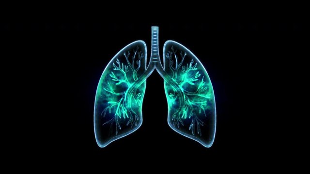human lungs motion loop