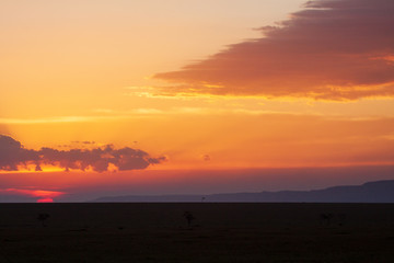 African Dawn