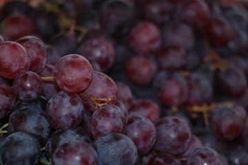 Healthy fruits Red wine grapes background/ dark grapes/ blue grapes/wine grapes,Red wine grapes background/dark grapes,blue grapes,Red Grape in a supermarket local market bunch of grapes ready to eat