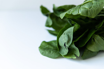 Fototapeta na wymiar Bunch of green spinach on white background