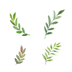 watercolor leave set